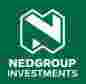 Nedgroup Investments logo